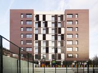 Marr&oacute;n - Obra Mirasierra - Tilmon (13)